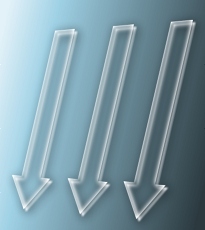 CIAC 2010 logo